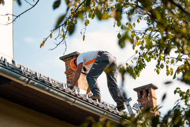 Best Residential Roofing Contractor  in Burien, WA