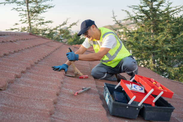 Best Roof Inspection Near Me  in Burien, WA